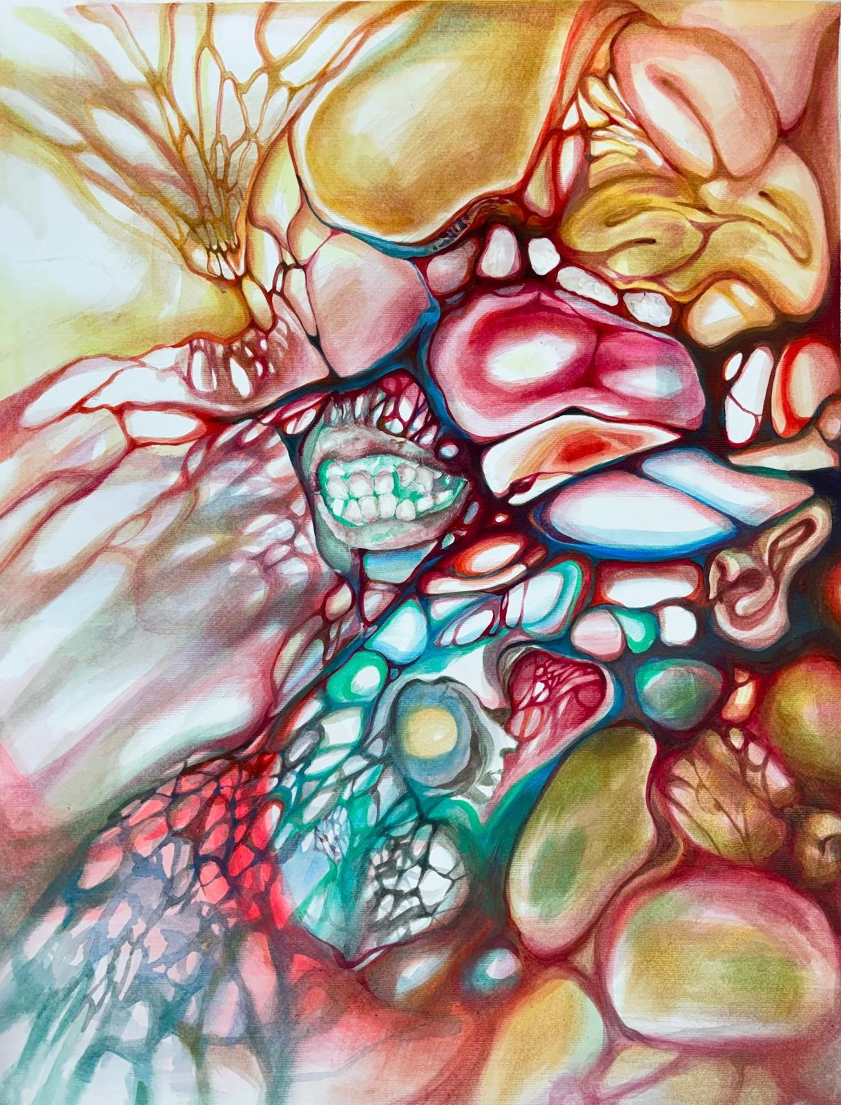 Colored-pencil study of swelling organic cell-like forms in red, teal and yellow